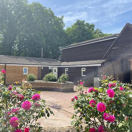 The Rose Cottage Wisborough Green Exterior photo